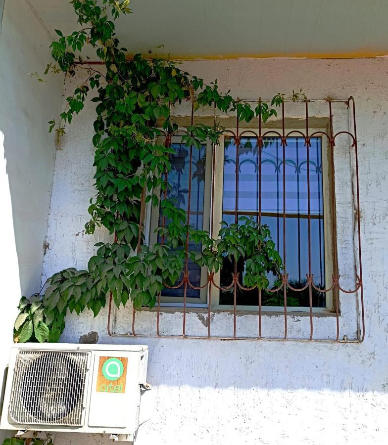 Apartmán A Cozy Bedsit! Taškent Exteriér fotografie